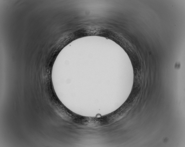 X0000101220601200807251113