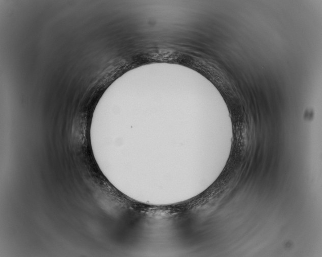 X0000101220602200807251113