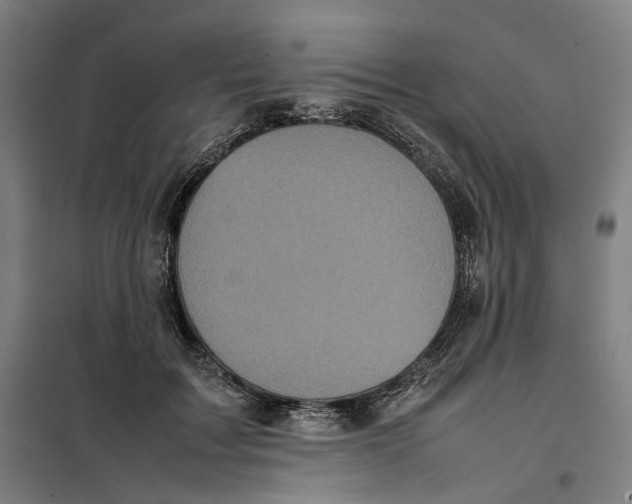 X0000101220603200807251113