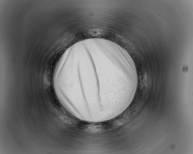 X0000101220606200807251113