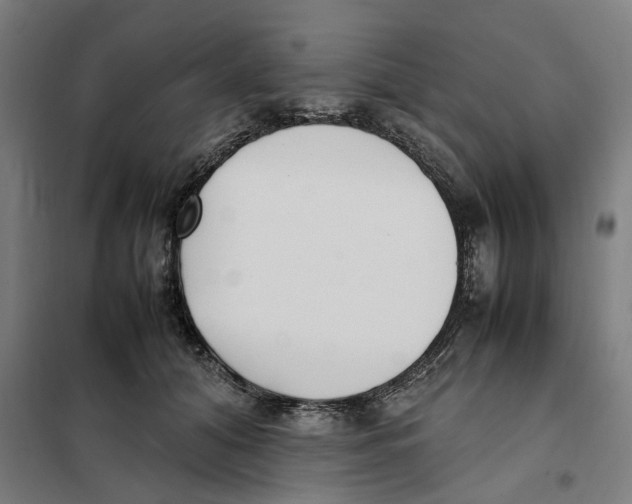X0000101220608200807251113
