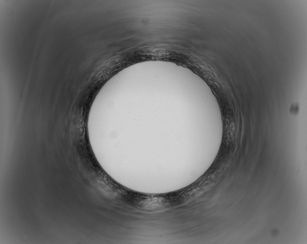 X0000101220609200807251113