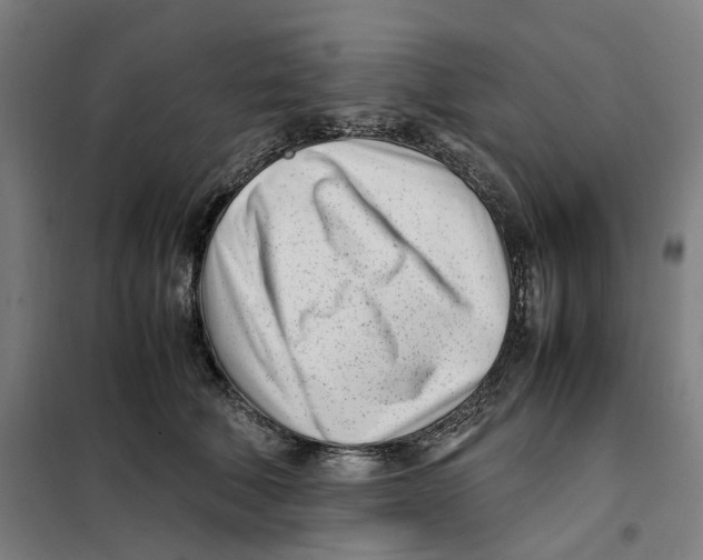 X0000101220610200807251113