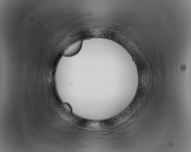 X0000101220611200807251113