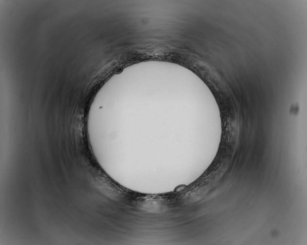 X0000101220612200807251113