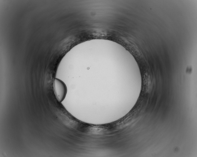 X0000101220614200807251113