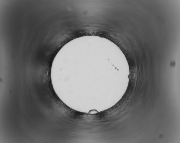 X0000101220615200807251113