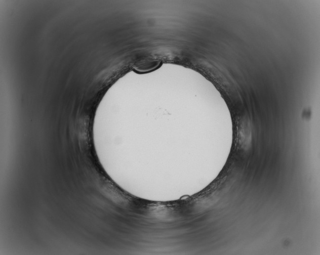 X0000101220616200807251113
