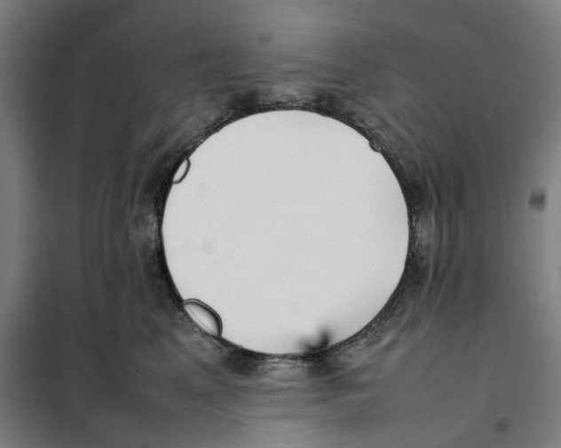 X0000101220617200807251113