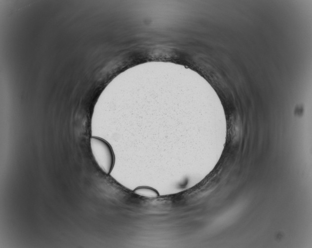 X0000101220619200807251113