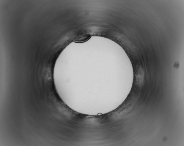 X0000101220620200807251113