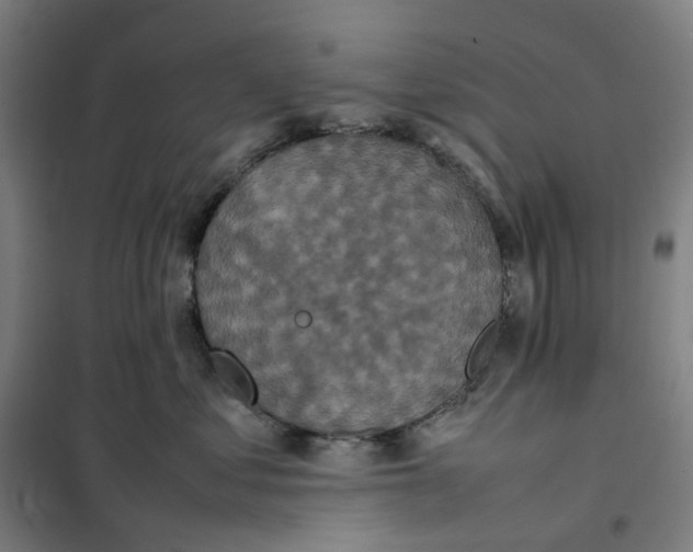 X0000101220621200807251113