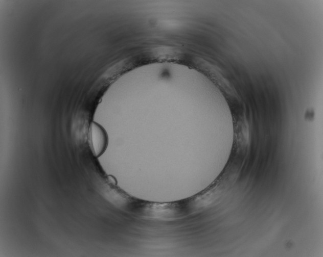 X0000101220622200807251113