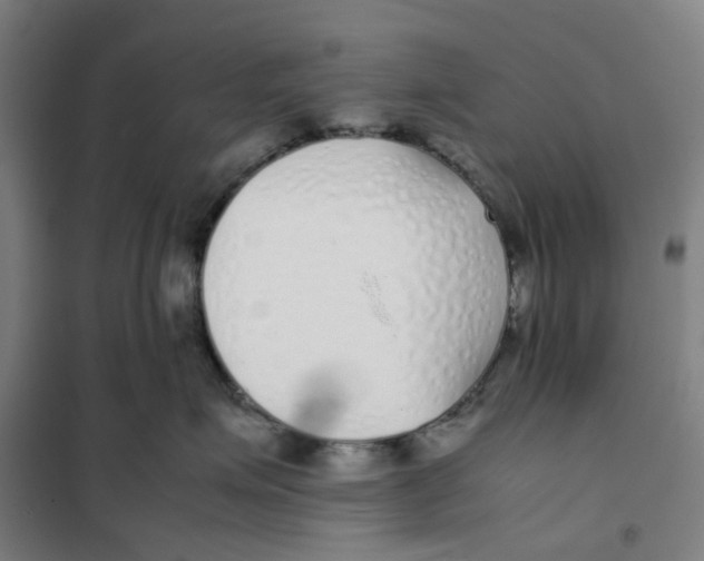 X0000101220623200807251113