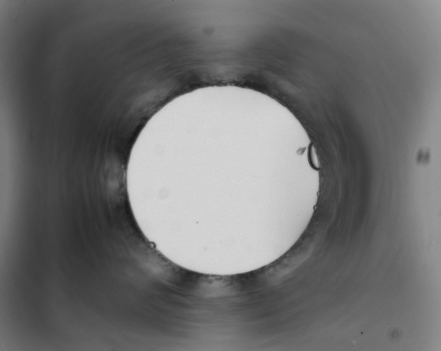 X0000101220624200807251113