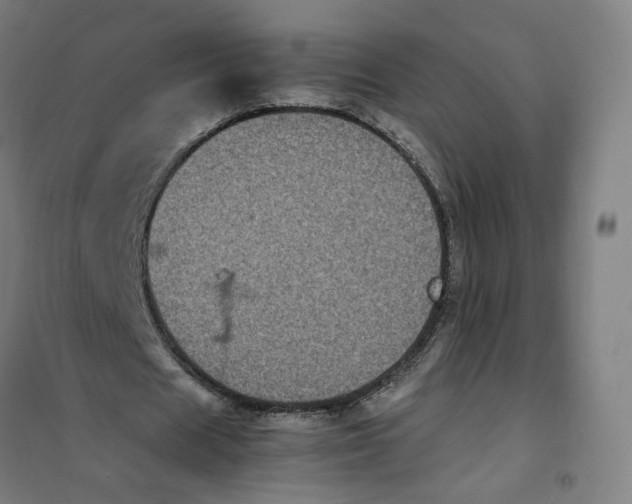 X0000101220625200807251112