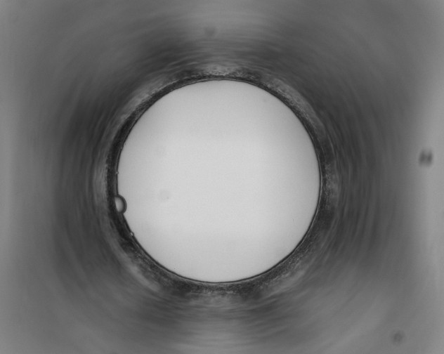 X0000101220626200807251112