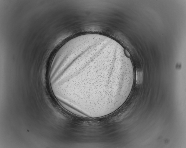 X0000101220627200807251112
