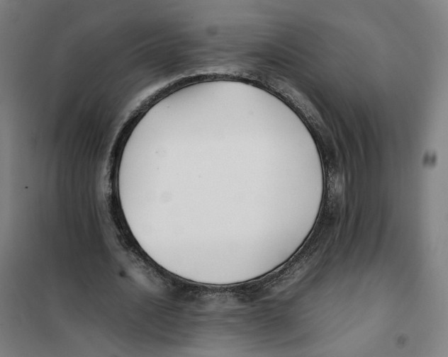 X0000101220628200807251112