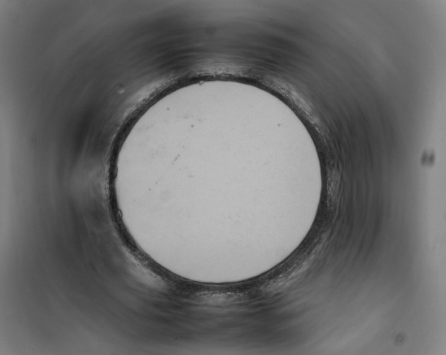 X0000101220629200807251112