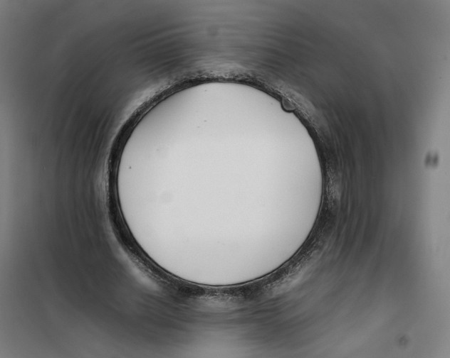 X0000101220630200807251112