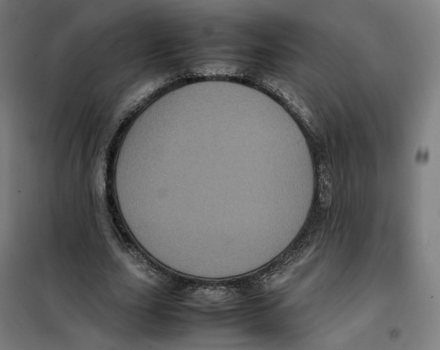 X0000101220631200807251112