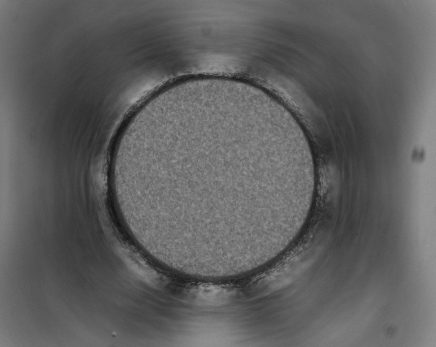 X0000101220632200807251112