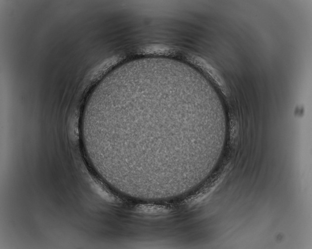 X0000101220633200807251112