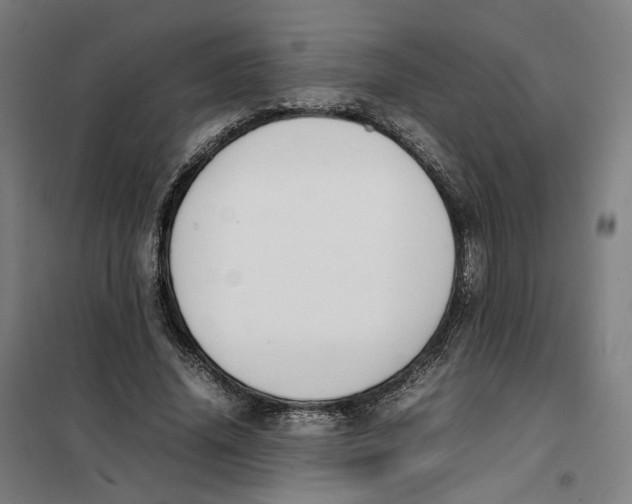 X0000101220636200807251112