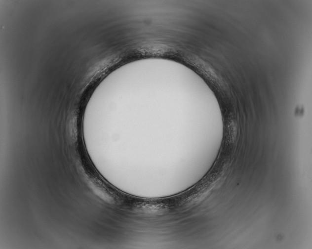 X0000101220638200807251112