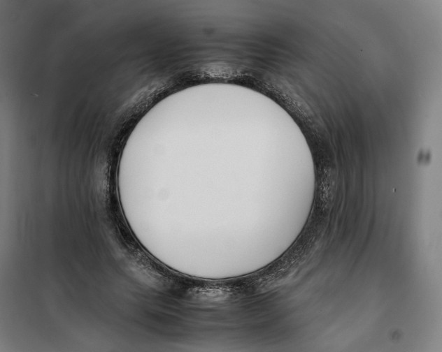 X0000101220639200807251112