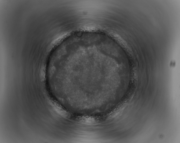 X0000101220640200807251112