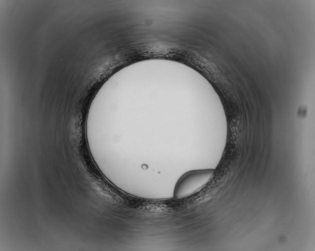 X0000101220642200807251112