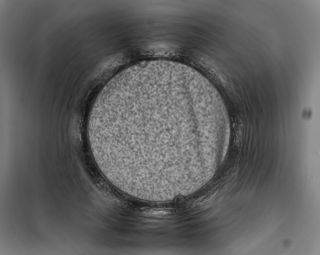 X0000101220643200807251112