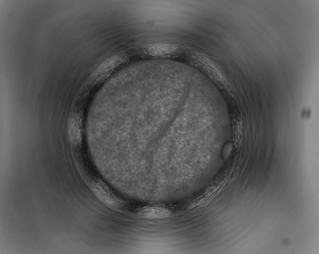 X0000101220644200807251112