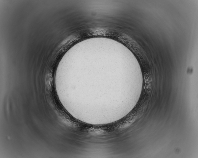 X0000101220648200807251112