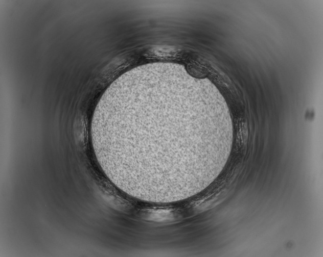 X0000101220651200807251112