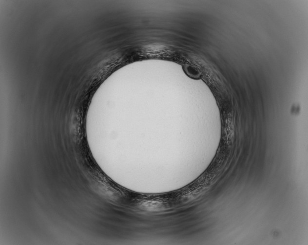 X0000101220653200807251112
