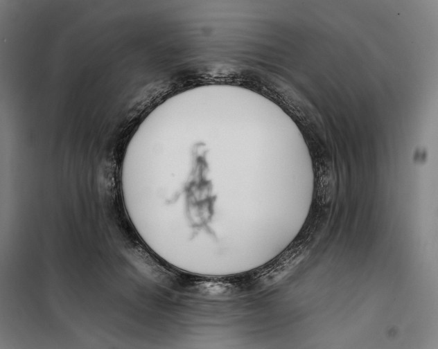 X0000101220654200807251112