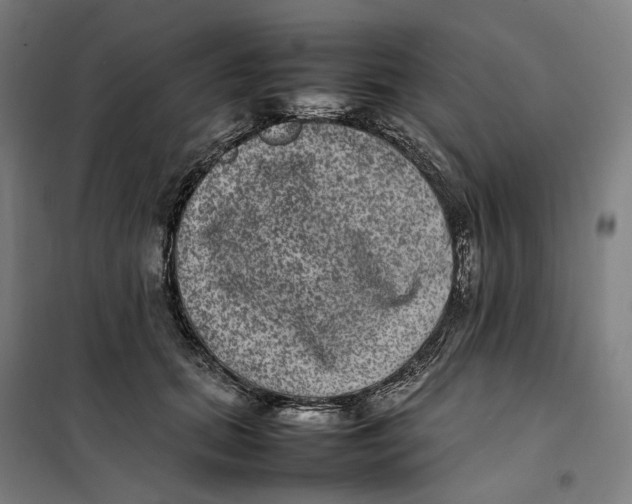 X0000101220655200807251112