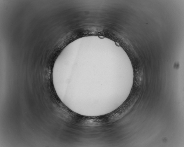 X0000101220657200807251112