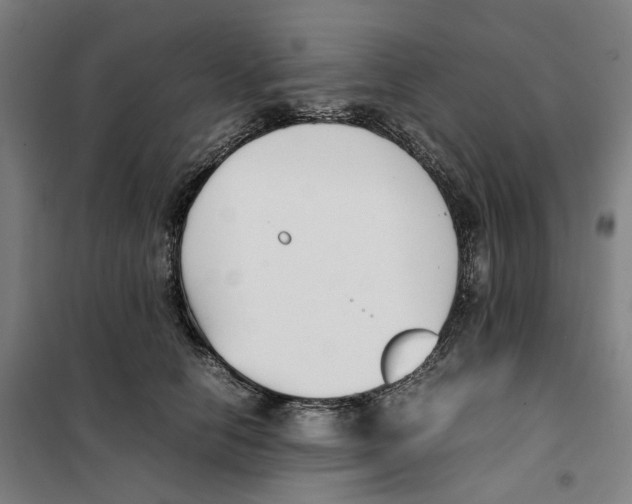 X0000101220658200807251112