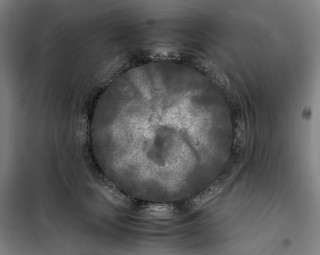X0000101220659200807251112