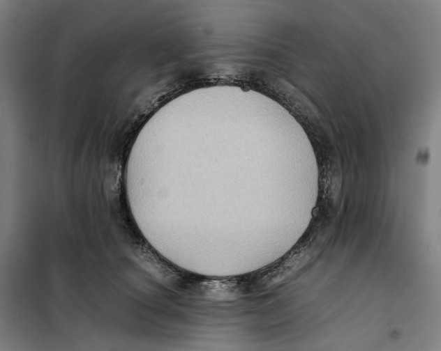 X0000101220660200807251112