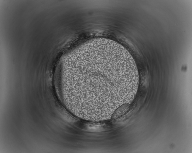 X0000101220661200807251112