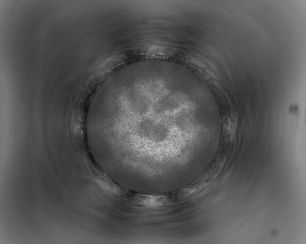 X0000101220663200807251112