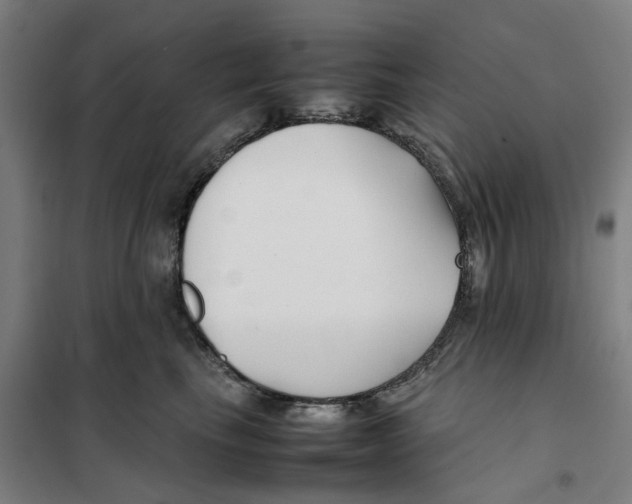 X0000101220665200807251113