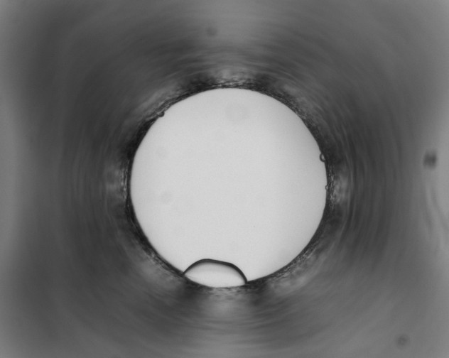 X0000101220666200807251113