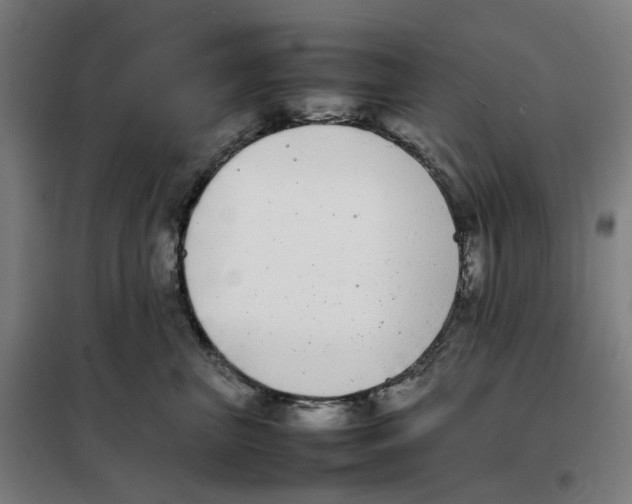 X0000101220667200807251113
