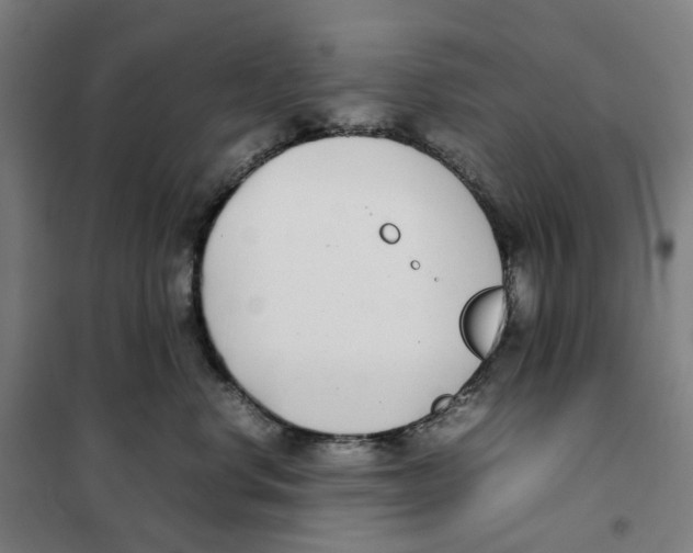 X0000101220668200807251113